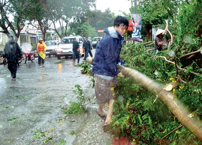 Khắc phục hậu quả sau cơn bão tại TPHCM.