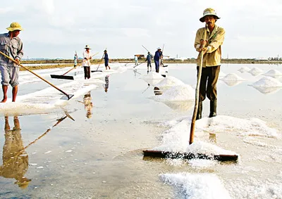 Việc cào muối nặng nhọc để dành cho đàn ông.