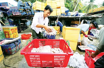Thu mua hải sản tại Nam Du.