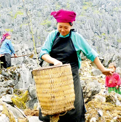 Cuộc sống vất vả nhưng trên gương mặt những người phụ nữ bản Lũng Táo (Đồng Văn, Hà Giang) vẫn rạng ngời hạnh phúc.
