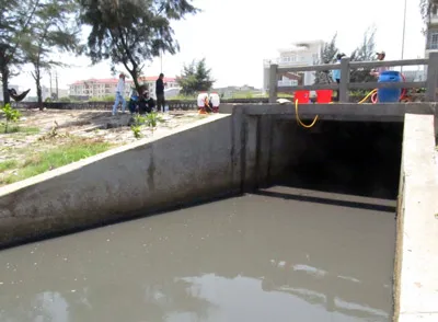Người dân Sơn Trà, Đà Nẵng mất ăn, mất ngủ vì nước thải