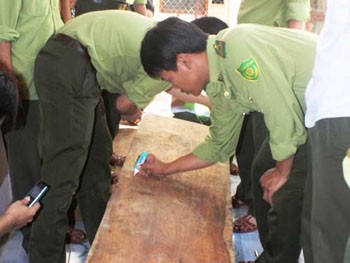 A Sua tree trunk seized by authorities in Quang Binh Province on May 10 (Photo: nld)