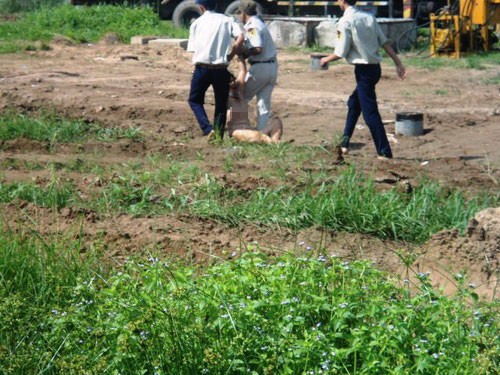 Security guards of the company drag the naked woman from the construction site
