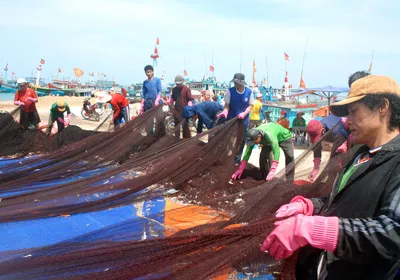 Các tàu ở Lý Sơn, hầu hết có công suất lớn với ngư lưới cụ hiện đại nên ngư trường truyền thống vẫn là Hoàng Sa - Trường Sa.