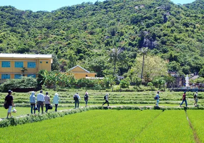 Cù Lao Chàm - hòn đảo xanh giữa biển nhưng có thể trồng được lúa nước.
