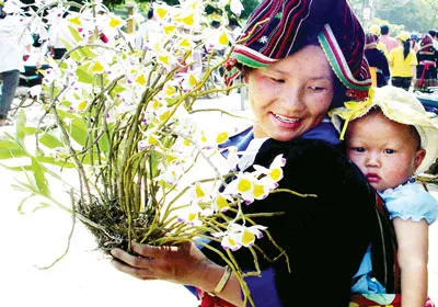 Mẹ địu con xuống chợ, với bụi phong lan rừng.