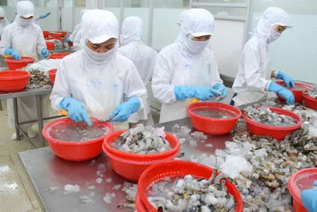 Gỡ khó cho doanh nghiệp thủy sản