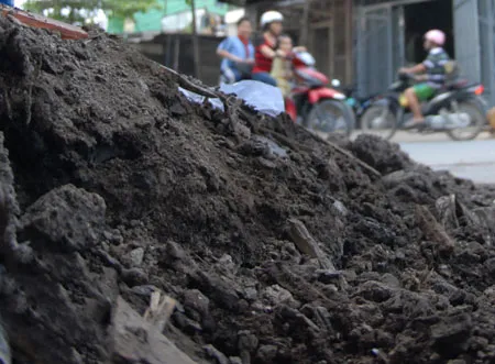 Xóa bất cập trong xử lý vi phạm môi trường: Cách nào?