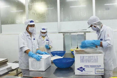 Đóng gói thành phẩm
