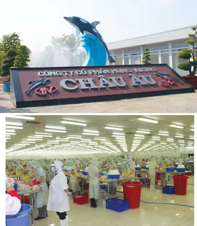 Một góc nhà máy Công ty CP Hùng Vương Châu Âu