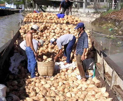 Điêu đứng vì giao dịch miệng