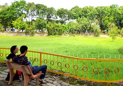 Hoang phí hồ trong công viên