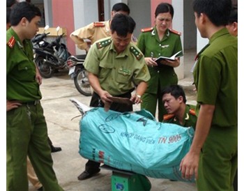Bo Trach District Police seized 1.4 tonnes of Sua timber from two trucks in Quang Binh Province on May 30 (Photo: laodong)