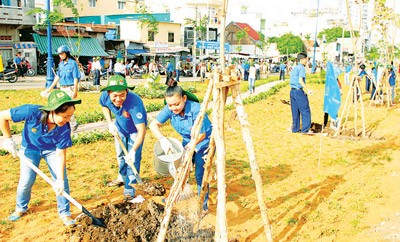 Young people plant saplings on ‘World Environment Day 2012’ in HCMC (Photo: SGGP)