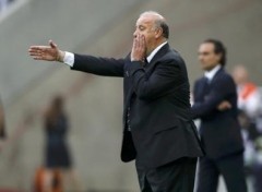 Spain's coach Vicente del Bosque shouts instructions to his players during their Group C Euro 2012 soccer match against Italy at the PGE Arena in Gdansk, June 10, 2012. Photo: REUTERS
