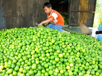 Hè về với trẻ quê