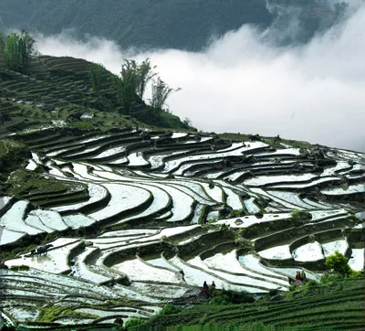 Người dân cho nước vào chuẩn bị mùa cấy – mặt ruộng như gương soi uốn lượn bên sườn núi.