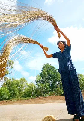 Phơi lác ở làng chiếu Tân Thành. Ảnh: H.LÂM - N.SƠN