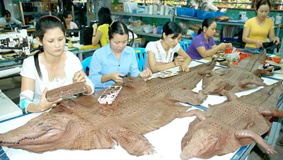 Sản xuất hàng mỹ nghệ từ da cá sấu tại Làng cá sấu Sài Gòn, quận 12. Ảnh: CAO THĂNG