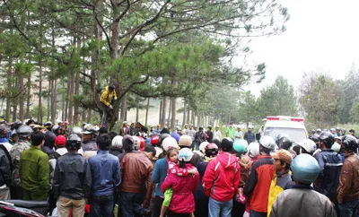 Đà Lạt: Phát hiện thi thể treo cổ tại đồi thông Hai mộ