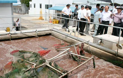 Khu công nghiệp, khu chế xuất - những bất cập. Bài 1: ĐBSCL: Áp lực cạnh tranh