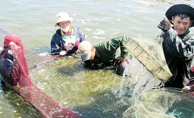 Đặc sắc Tam Giang - Cầu Hai