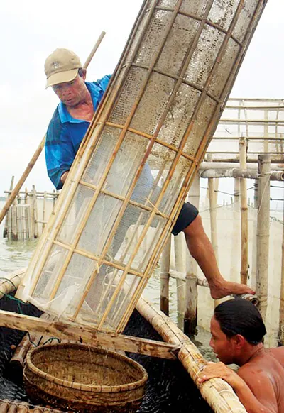 Nò sáo là ngư cụ chính mà ngư dân sử dụng đánh bắt tôm cá.