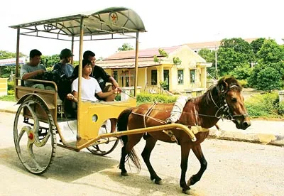 Xe ngựa đưa du khách tham quan một vòng đảo Cồn Cỏ.