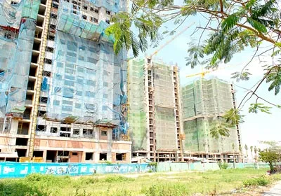 “Chữa bệnh” trong đấu thầu, cách nào?