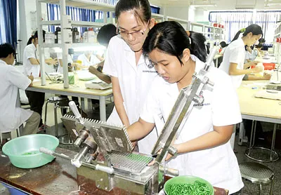 Phát triển nhân lực khoa học và công nghệ - Trọng dụng và đãi ngộ người tài