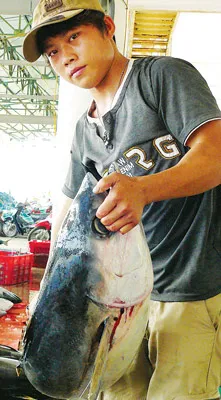 Đời sống nhiều người dân miền Trung phụ thuộc hoàn toàn vào lộc biển.