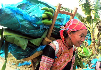 Bà con thôn Lũng Pô 2 thu hoạch chuối.