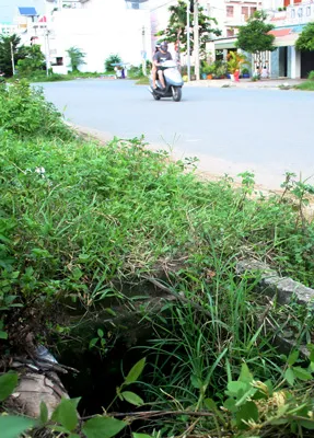 Coi chừng lọt hố