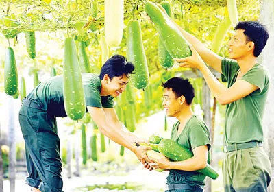 Bội thu.