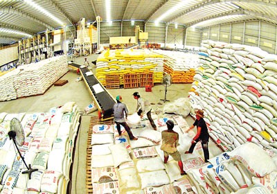 Rice being stockpiled at a warehouse in the Mekong Delta (Photo: SGGP)