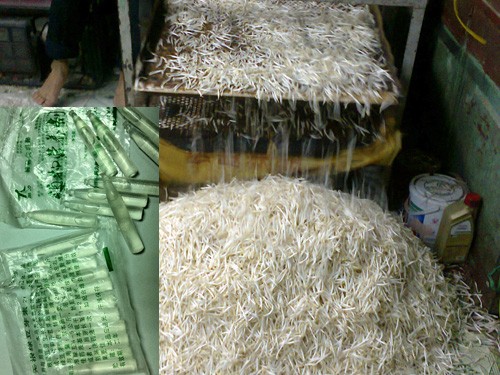A farm grow bean sprouts with chemical ( in small picture) in Hoc Mon District