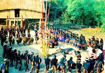 Buffalo-stabbing ritual in the Central Highlands