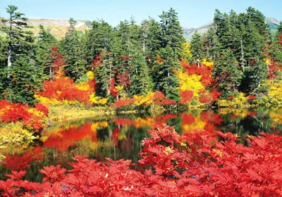 Chùm tour thu  đông chào mừng 37 năm thành lập Saigontourist