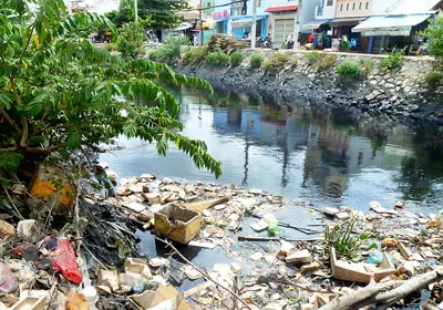 Thấp thỏm kênh đen