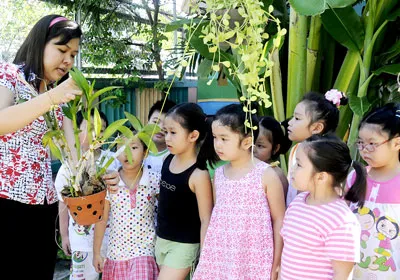 Vẫn lo chuyện cũ