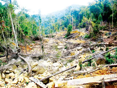 Suối Gia Rú, rừng Khánh Thành (Khánh Hòa) bị băm nát bởi việc đào hầm khai thác thiếc.