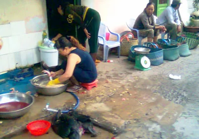 Quản lý kinh doanh, giết mổ gia cầm  vẫn đang bỏ ngỏ