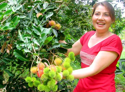 Du khách thưởng thức trái cây miệt vườn.