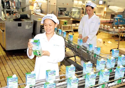 Vinamilk là đơn vị phát triển mạnh sau cổ phần hóa, lọt vào tốp các doanh nghiệp hàng đầu châu Á. Ảnh: CAO THĂNG