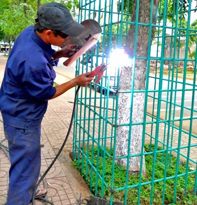 Tiếp tục bao lồng sắt quanh cây sưa