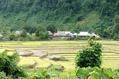 Ẩn giấu gì đằng sau những “đạo lạ”? - Bài 3: Nỗi buồn mang tên “Vàng Chứ”