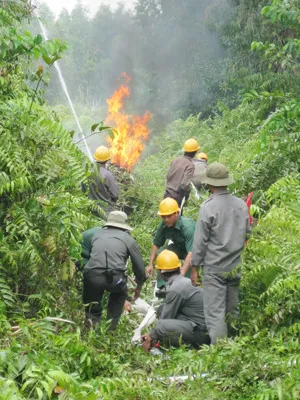 Lực lượng PCCC tại chỗ đang chữa cháy rừng