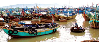 Cảng cá Liên Hương