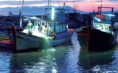 Kiểm tra lại lưới sau khi cá chuyển vào bờ.