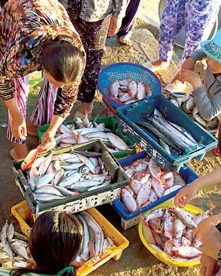 Mặc cả từng khay cá.